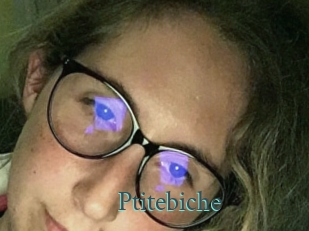 Ptitebiche