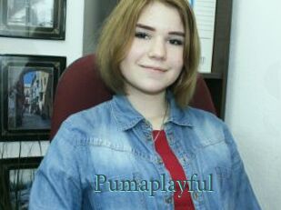 Pumaplayful
