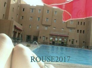 ROUSE2017