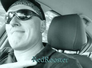 RedRooster