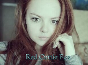 Red_Cuttie_Fox
