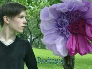Rodrigie