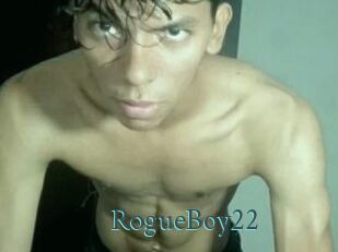 RogueBoy22
