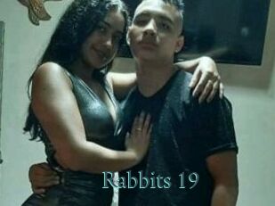 Rabbits_19