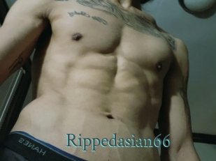 Rippedasian66