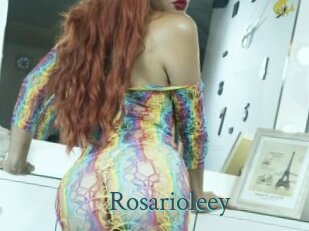 Rosarioleey
