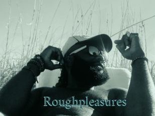 Roughpleasures