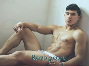 Roybigcock