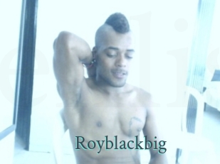 royblackbig En live show