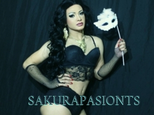 SAKURAPASIONTS En live show