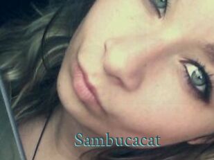 Sambucacat