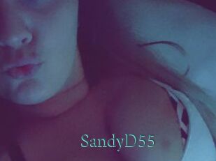 SandyD55