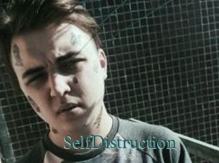 SelfDistruction