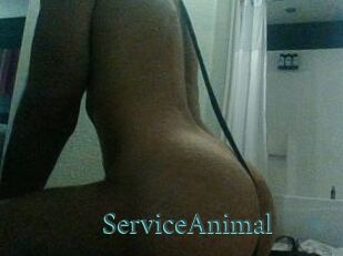 ServiceAnimal