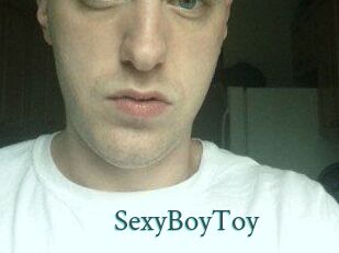 SexyBoyToy