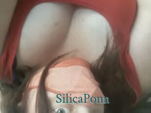SilicaPonn