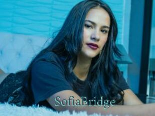 SofiaBridge