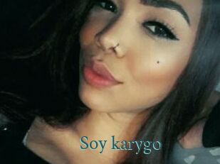 Soy_karygo