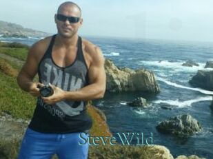 Steve_Wild