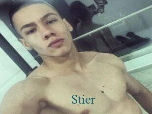 Stier