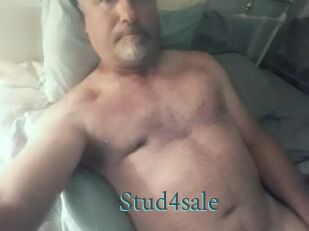 Stud4sale