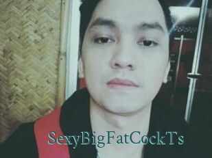 _SexyBigFatCockTs_