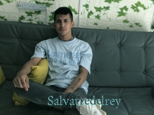 Salvatredelrey