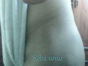 Seba_totto