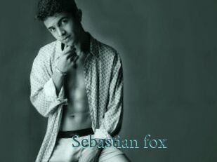 Sebastian_fox