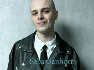 sebastianhort En live show