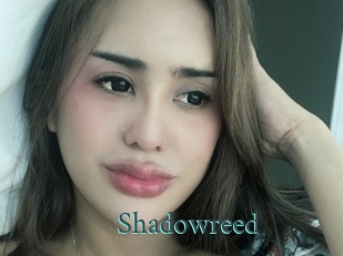 Shadowreed