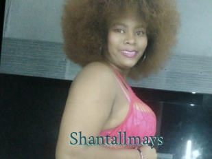 Shantallmays
