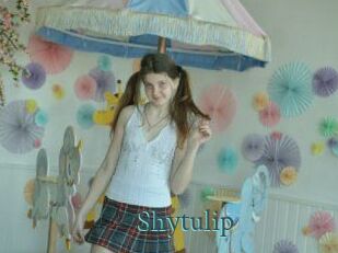 Shytulip