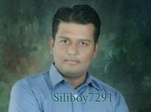 Siliboy7291