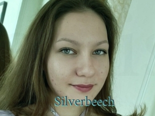 Silverbeech