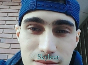 Skyleer