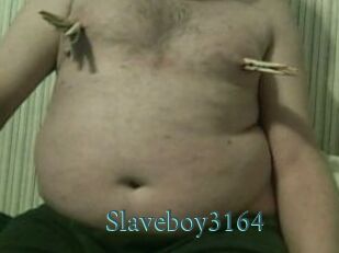 Slaveboy3164
