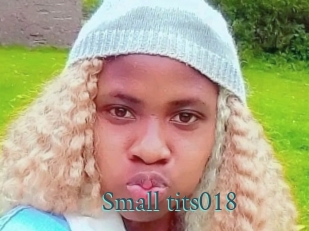 Small_tits018
