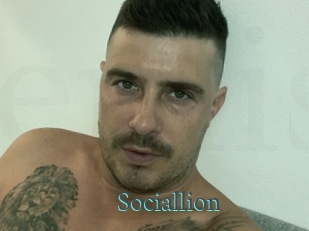 Sociallion