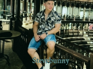 stevebunny En live show