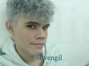 stivengil En live show