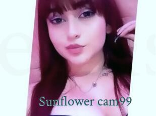 Sunflower_cam99