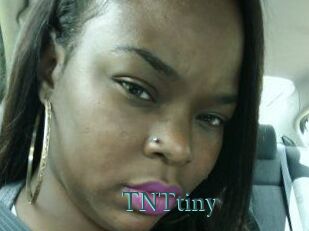 T_N_Ttiny