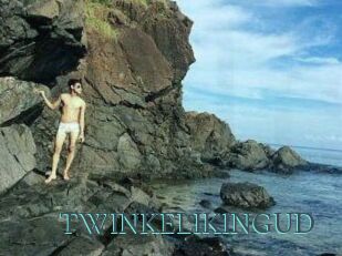 TWINKELIKINGUD