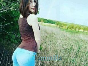 Tammilla_