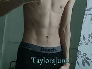 TaylorsJunk