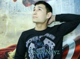 TeddyNoyz