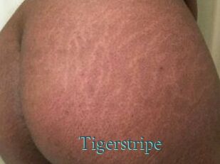 Tigerstripe