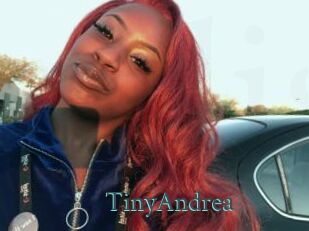 TinyAndrea