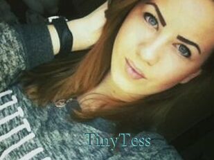 TinyTess